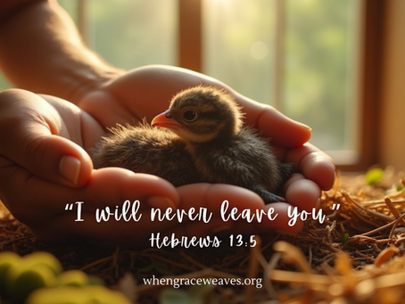 Hands gently holding a small bird, symbolizing God’s care, restoration, and tender presence.