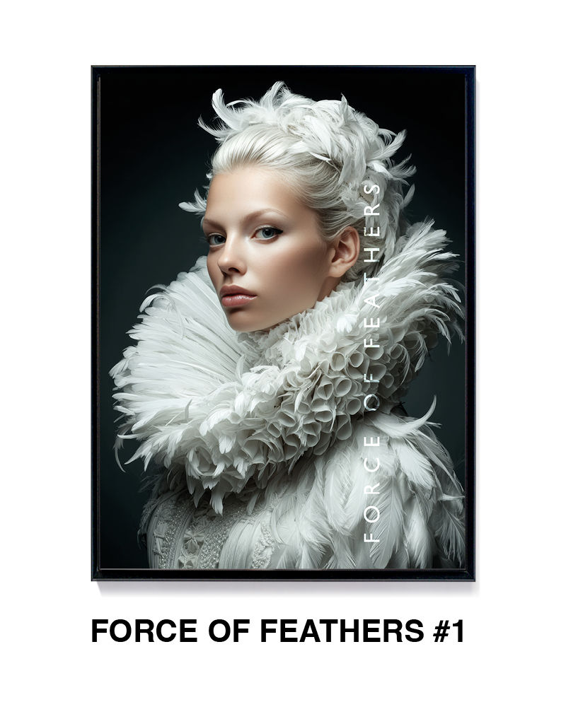 FORCE OF FEATHERS #1
