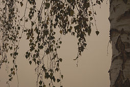 Yin Yoga Workshop Metall Amberg