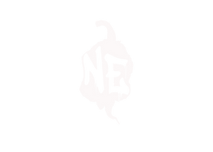 transparent backround.png