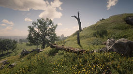 RDR2-Map-Poisonous-1b.jpg