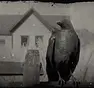 RDR2-hunt-crow2.webp