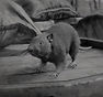 RDR2-hunt-rat2.jpg