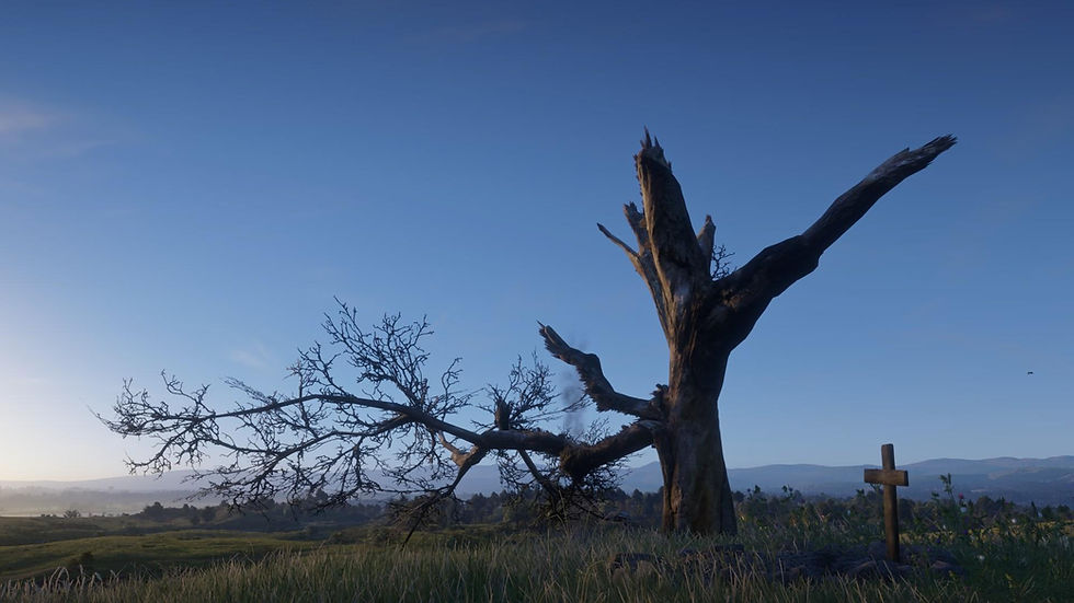 RDR2-C1-12