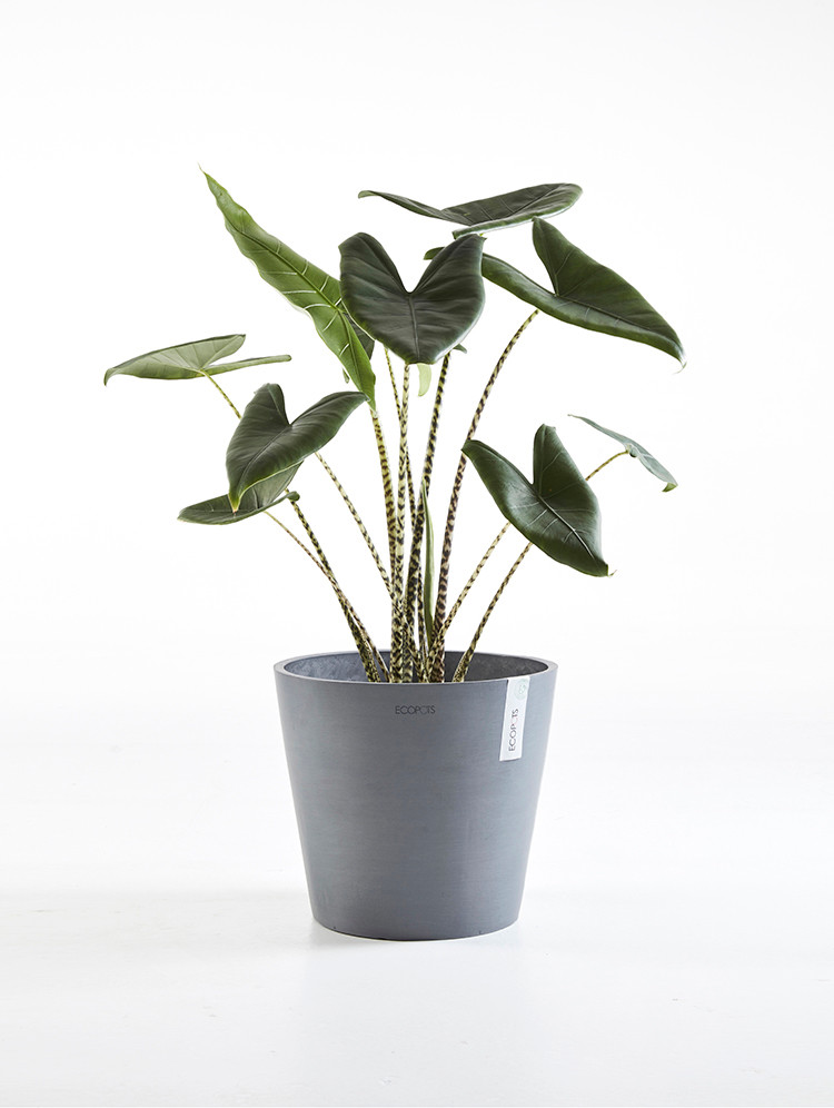 Ecopots Amsterdam 13 Vaso da fiori - Per interni ed esterni Ecopots Amsterdam 13 Vaso da fiori - Per interni ed esterni