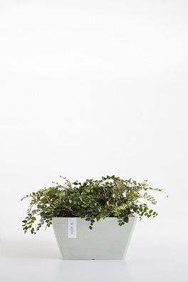 Ecopots Berlin in White Grey