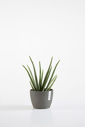 socker blumenständer Deko Blumenständer main image 1