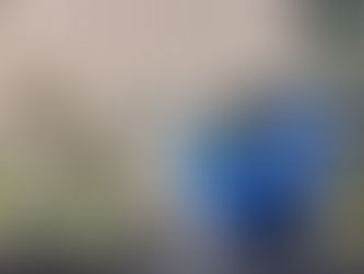 XO WORLD PROJECT & XO PLAY