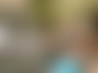 Smart Tick Prevention for Dogs in Litchfield County and Beyond