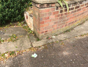 Front Property Wall in Colchester