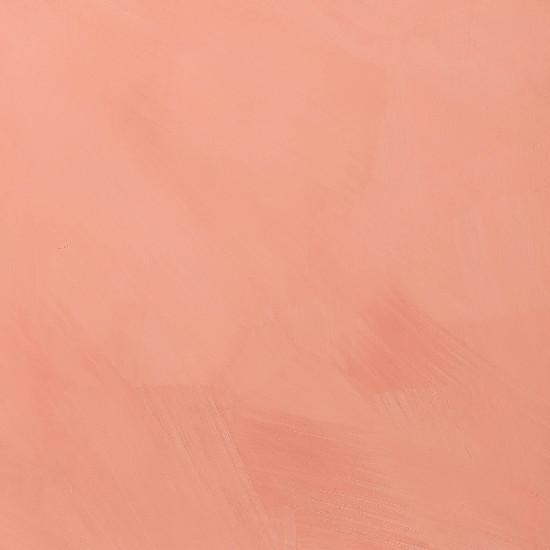 Cloudlime Terracotta Rose I limewash paint sample board