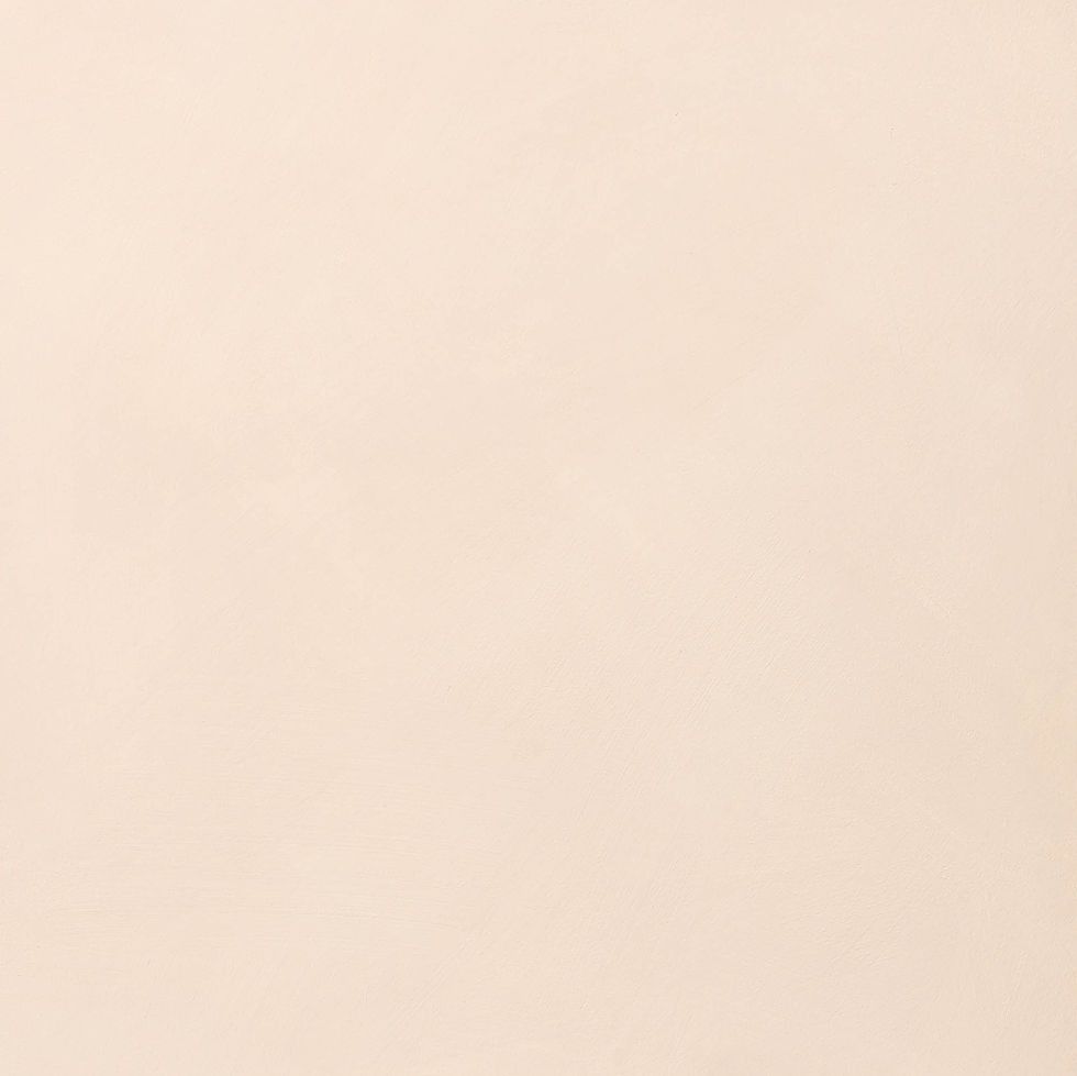 Cloudlime Chalk Rose IV limewash paint sample board