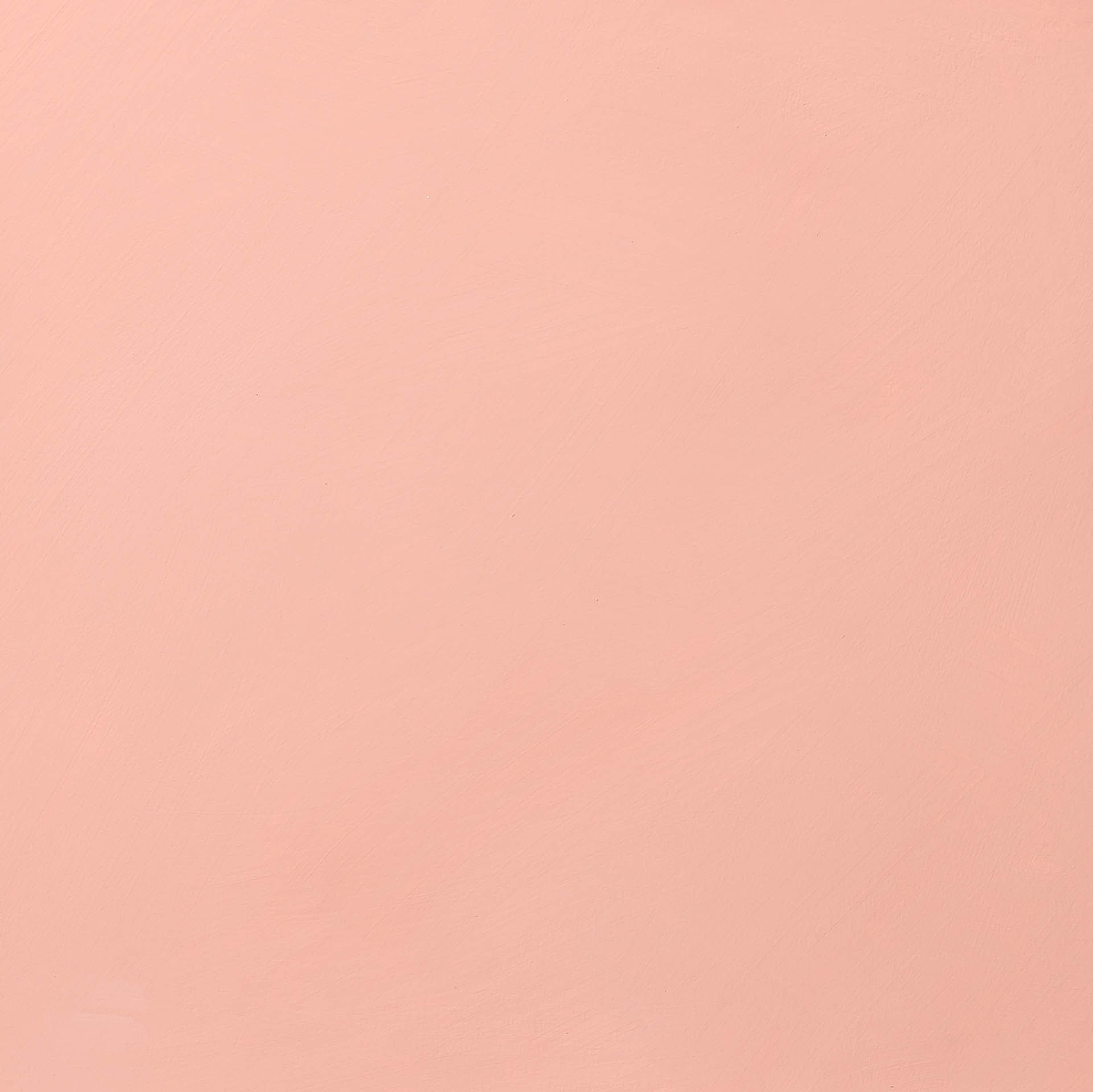 Cloudlime Terracotta Rose II limewash paint sample board