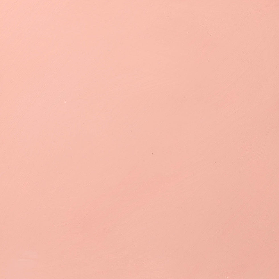 Cloudlime Terracotta Rose II limewash paint sample board