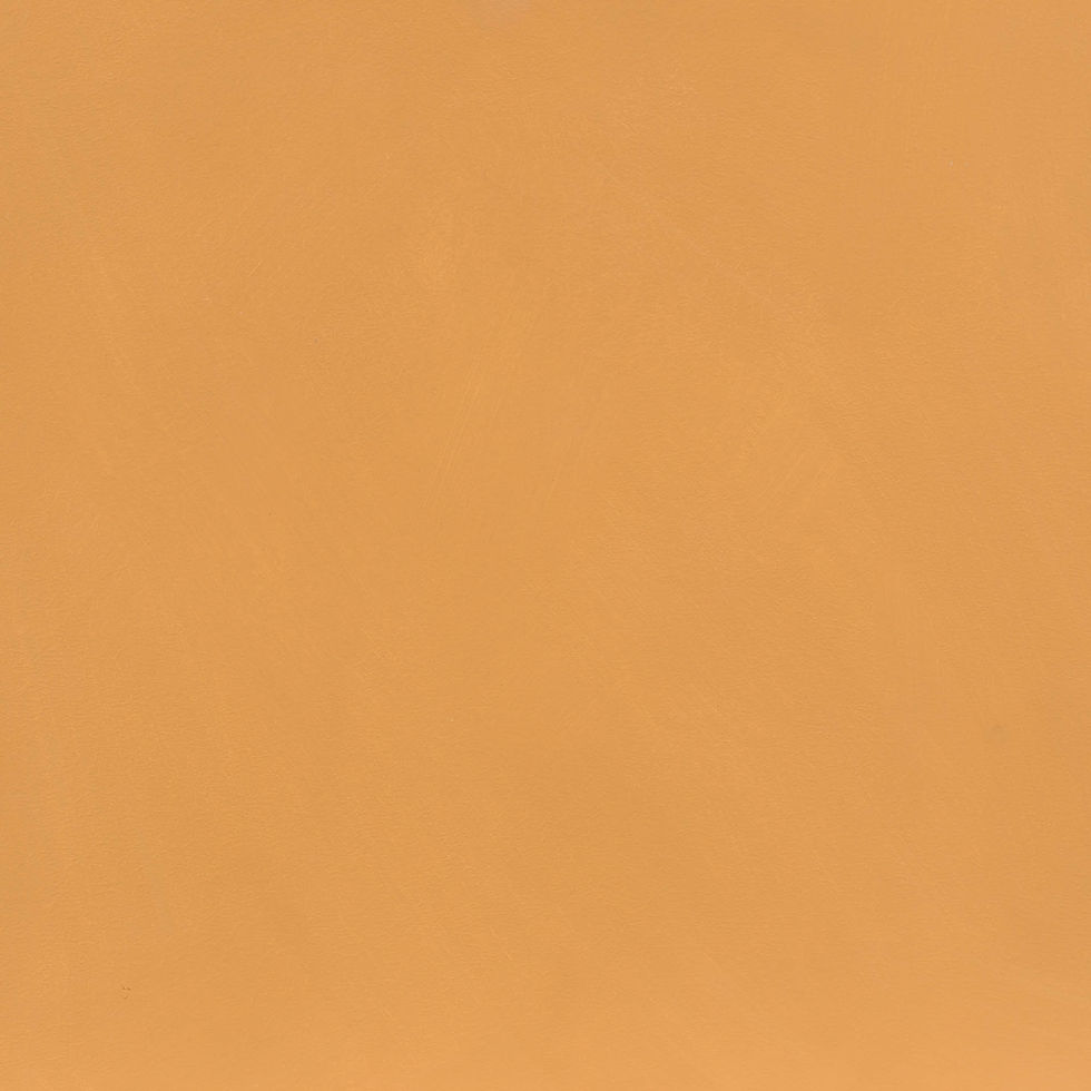 Cloudlime Saffron Ochre I limewash paint sample board