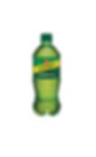 Schweppes Ginger Ale en Botellla