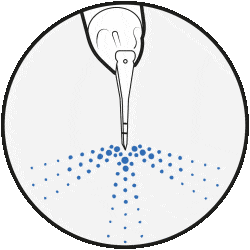 step5.gif