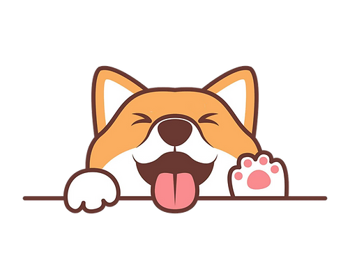 What Is Jindo Inu Jind What Is Jindo Inu Token What Is Jind Token