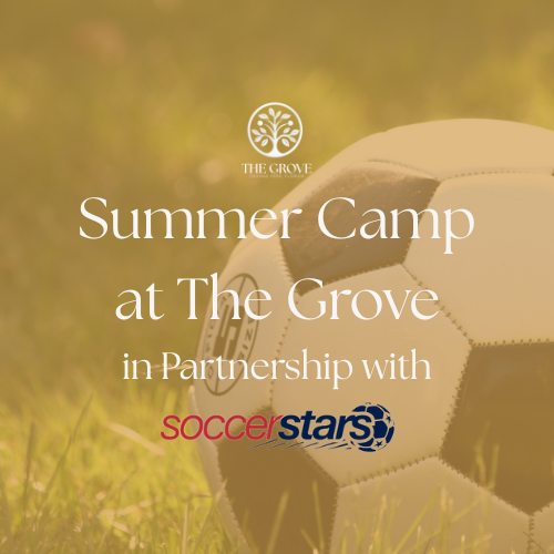 Parents Night Out - Summer Camp Preview Night