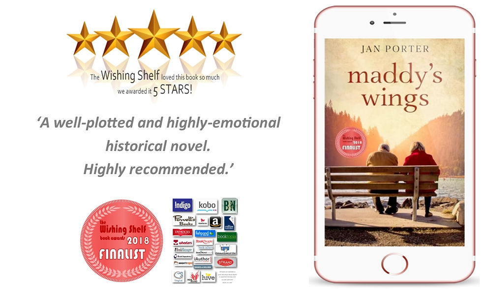 Book Review wishing shelf short Maddy's Wings new July 2024