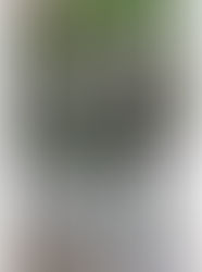 Resignificación Regional del Tarot