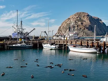Best Central Coast Attractions For Visitors  