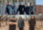 Los Lobos & Los Lonely Boys