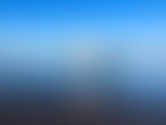 Wave Wellness: A Boutique Movement Collective for the Community