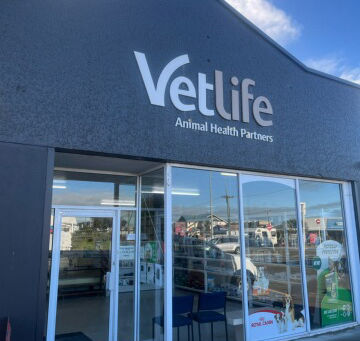 Trust your local vet in the heart of New Brighton