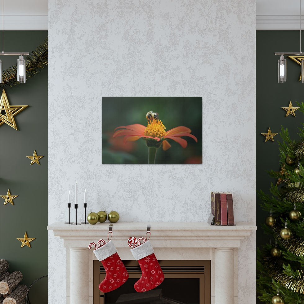 Thumbnail: Bumble 1 by JHP Gallery Wrap 