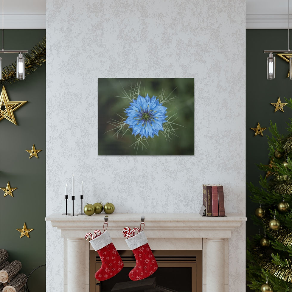 Thumbnail: Blue by JHP Gallery Wrap 