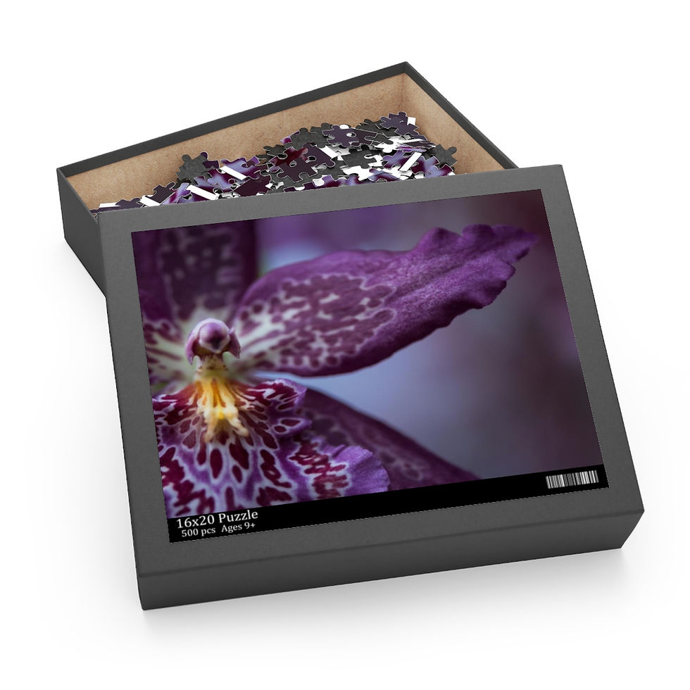 Thumbnail: Purple Orchid Puzzle (500-Piece)