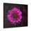 Thumbnail: Vivid by JHP Gallery Wrap 