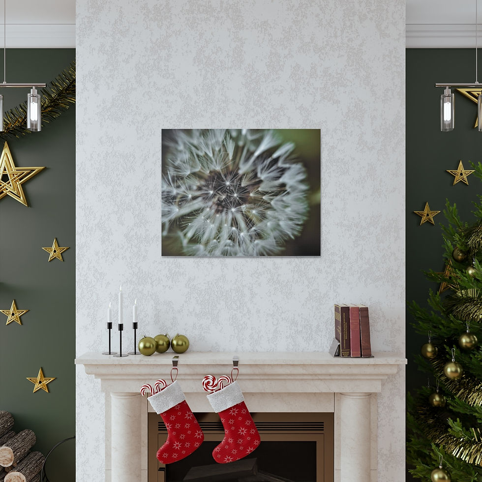 Thumbnail: Dandelion Rain Gallery Wrap 