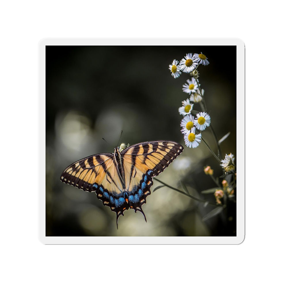 Thumbnail: Swallowtail Die-Cut Magnet by JHP