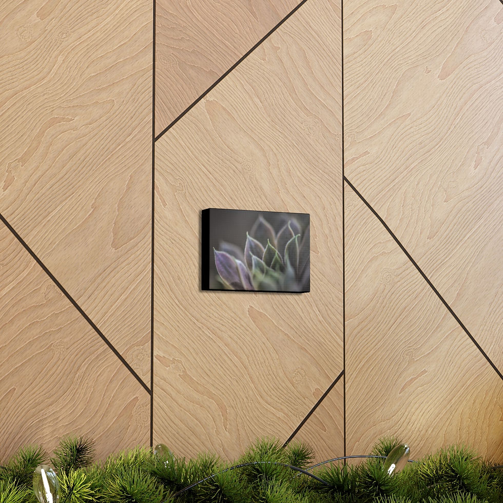 Thumbnail: Succulent by JHP Gallery Wrap 