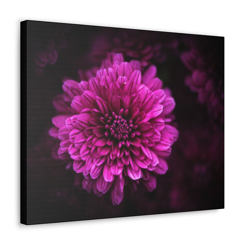 Thumbnail: Vivid by JHP Gallery Wrap 
