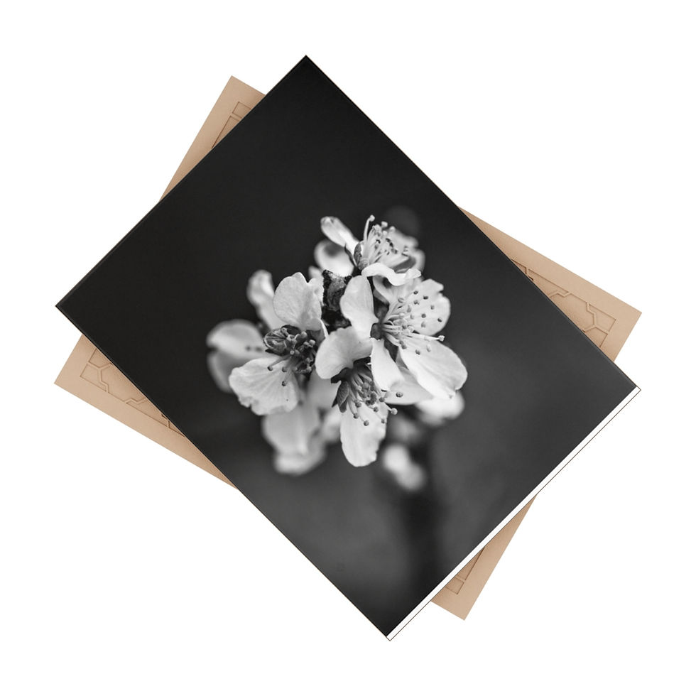 Thumbnail: Untitled Black and White by JHP Ceramic Photo Tile (6x8)