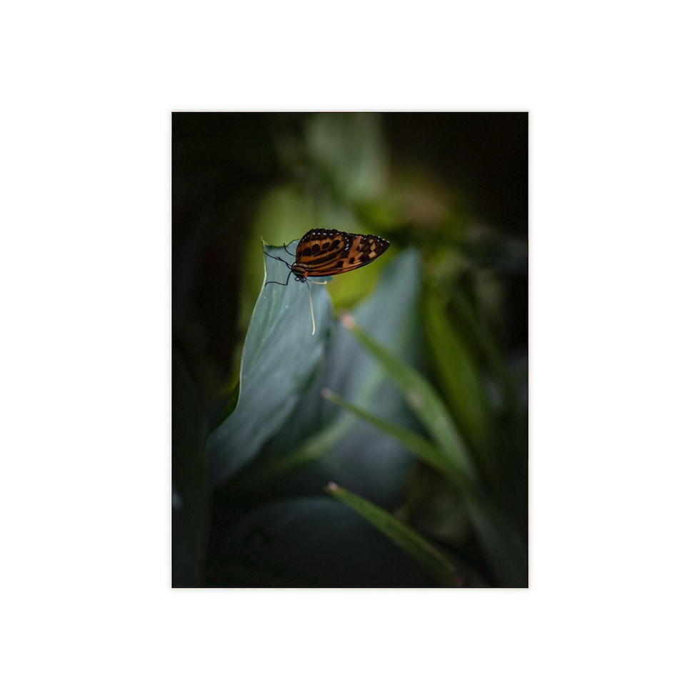 Thumbnail: Landing by JHP Ceramic Photo Tile (6x8)