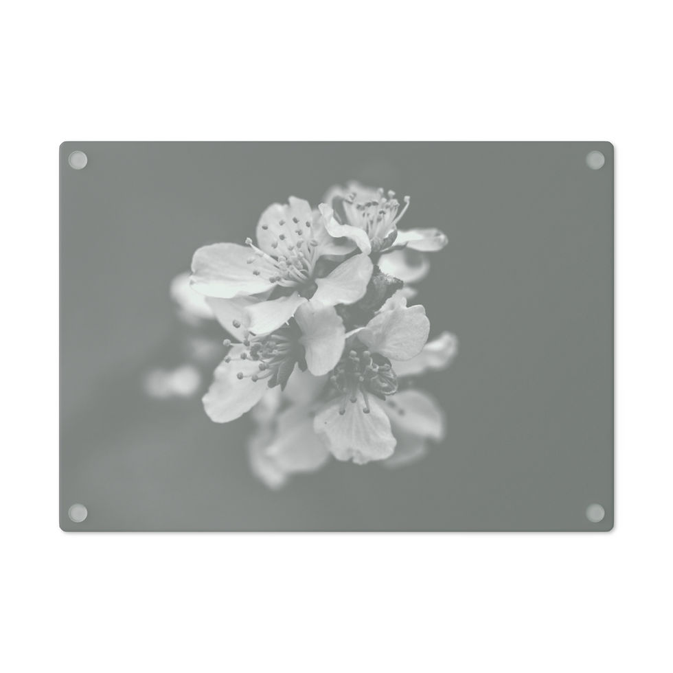 Thumbnail: Untitled Black and White Cutting Board