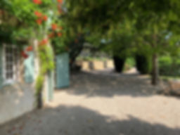 IMG_2847.jpeg