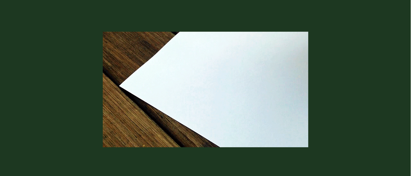 05_carimbo3.gif
