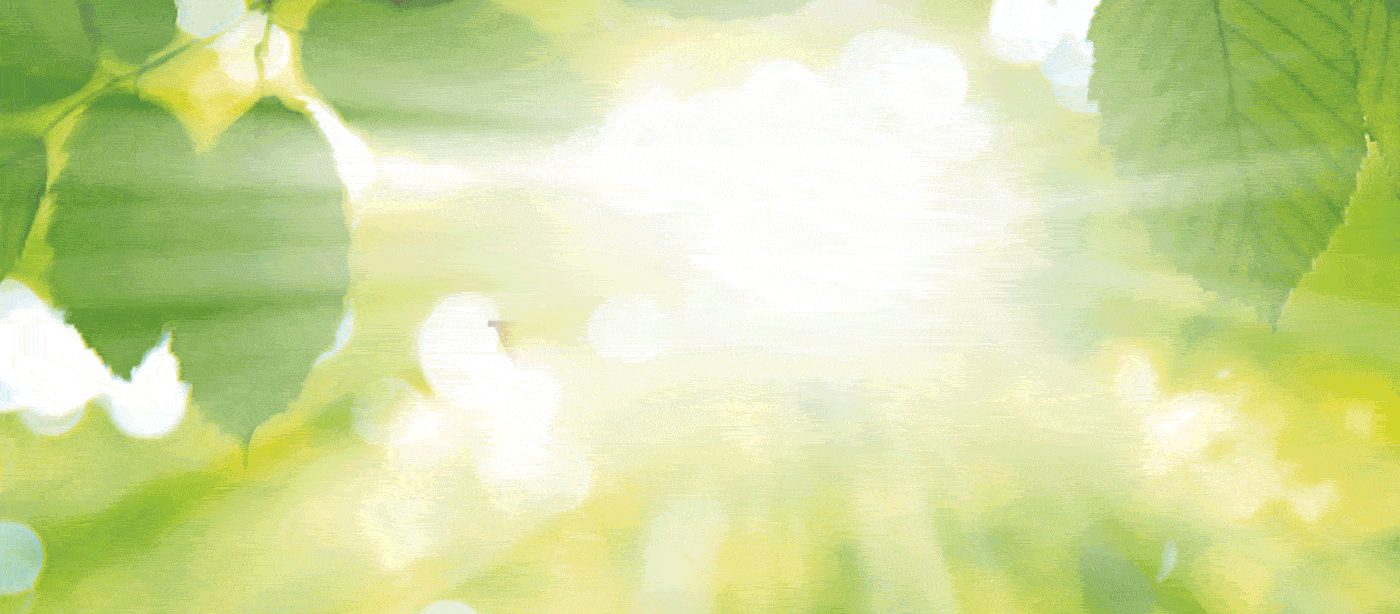 01.gif