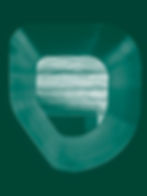 VALT