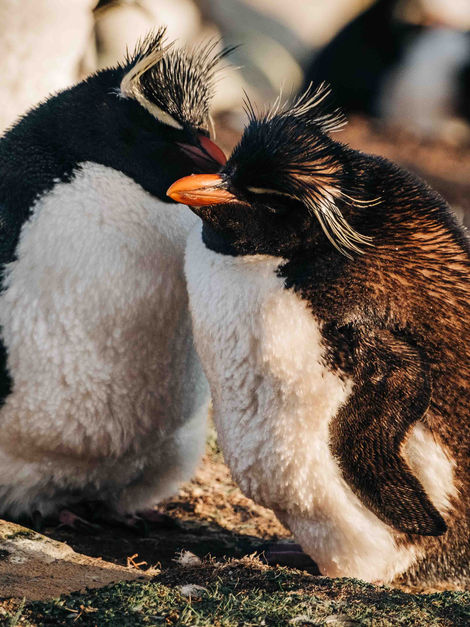 Buenos Aires-7710.jpg