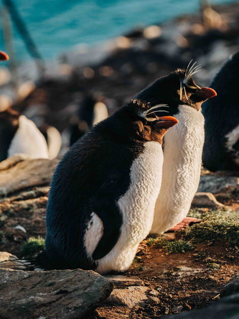 Buenos Aires-7703.jpg