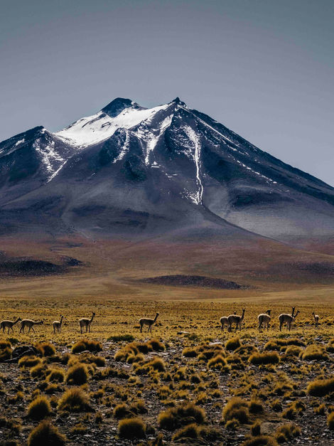 Atacama-1522