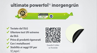 Agrifol Morgengruen_edited.jpg