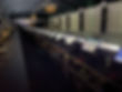 IMG_0709.jpeg