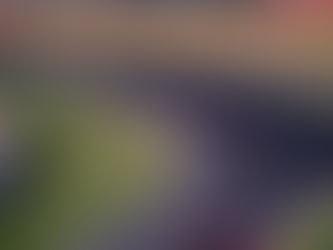 Pourquoi le Japon est connu pour la Formule 1 ou F1 ? Qu'est-ce que la piste de de Suzuka ? AYUMI Voyage répond à vos questions.